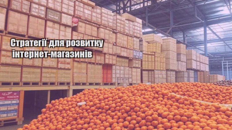 strategiyi dlya rozvytku internet magazyniv