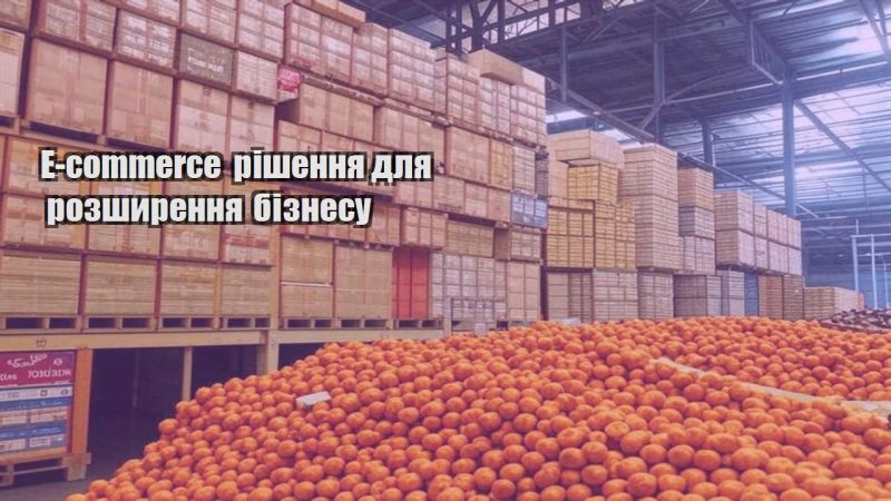 e commerce rishennya dlya rozshyrennya biznesu