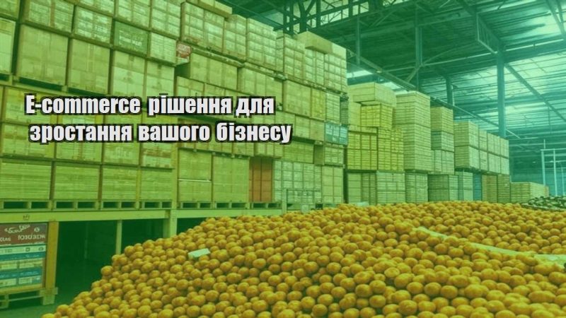 e commerce rishennya dlya zrostannya vashogo biznesu